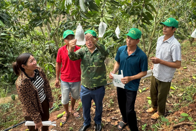 Ứng dụng công nghệ - đòn bẩy giảm phát thải trong sản xuất nông nghiệp